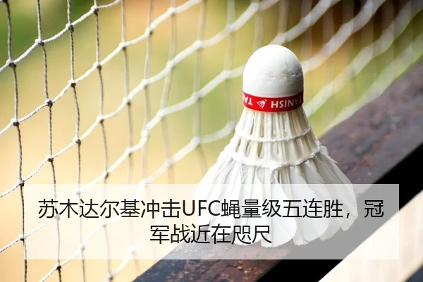 苏木达尔基冲击UFC蝇量级五连胜，冠军战近在咫尺